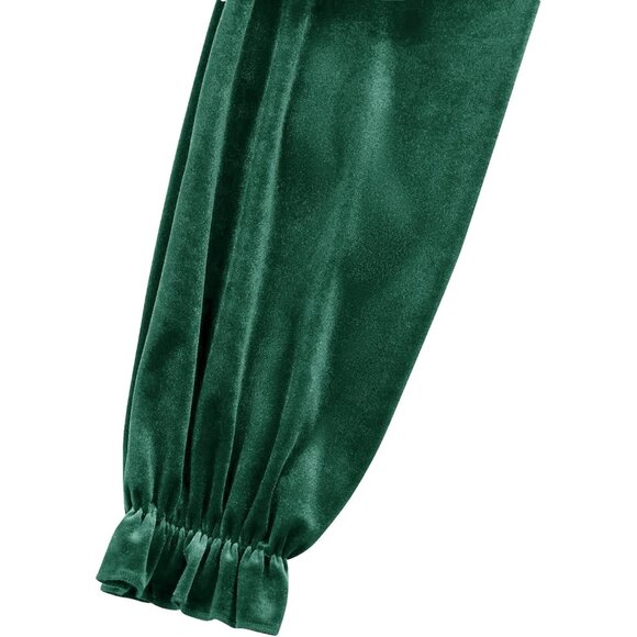 2023 Casual Velvet Dress for Women - Puff Sleeve, A-Line, and Machine Washable - Picture 5 of 6